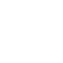 Vanguard Cases logo
